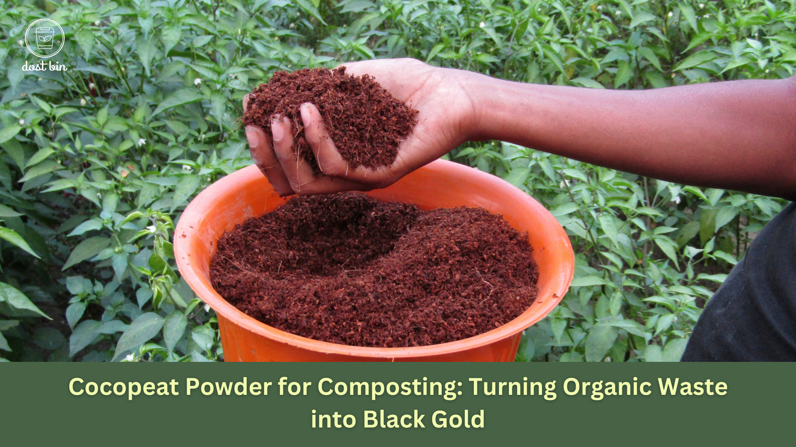 Cocopeat Powder for Composting: Turning Organic Waste into Black Gold