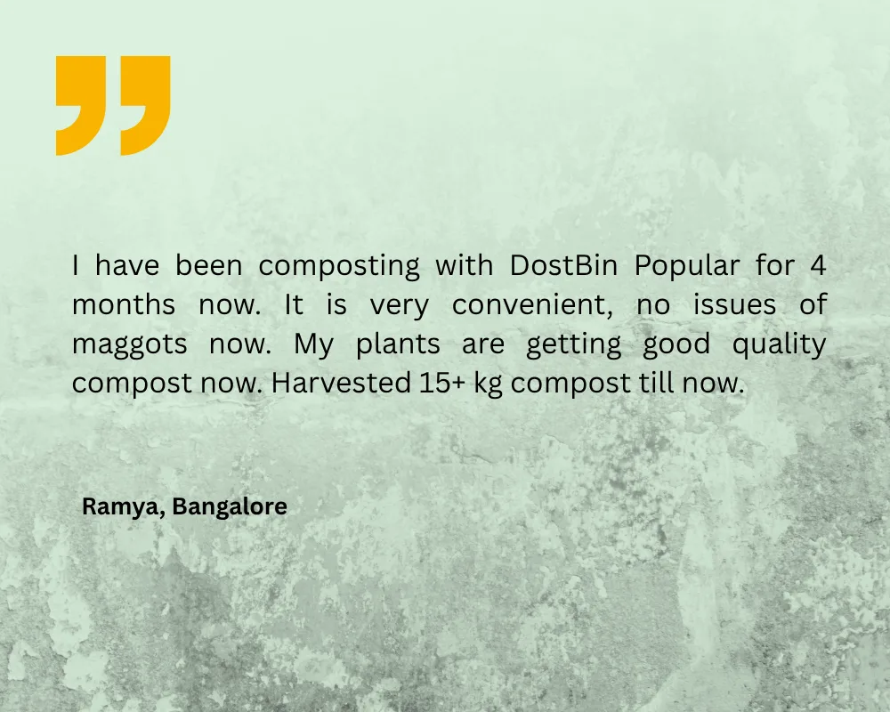 DOSTBin - Review - 1