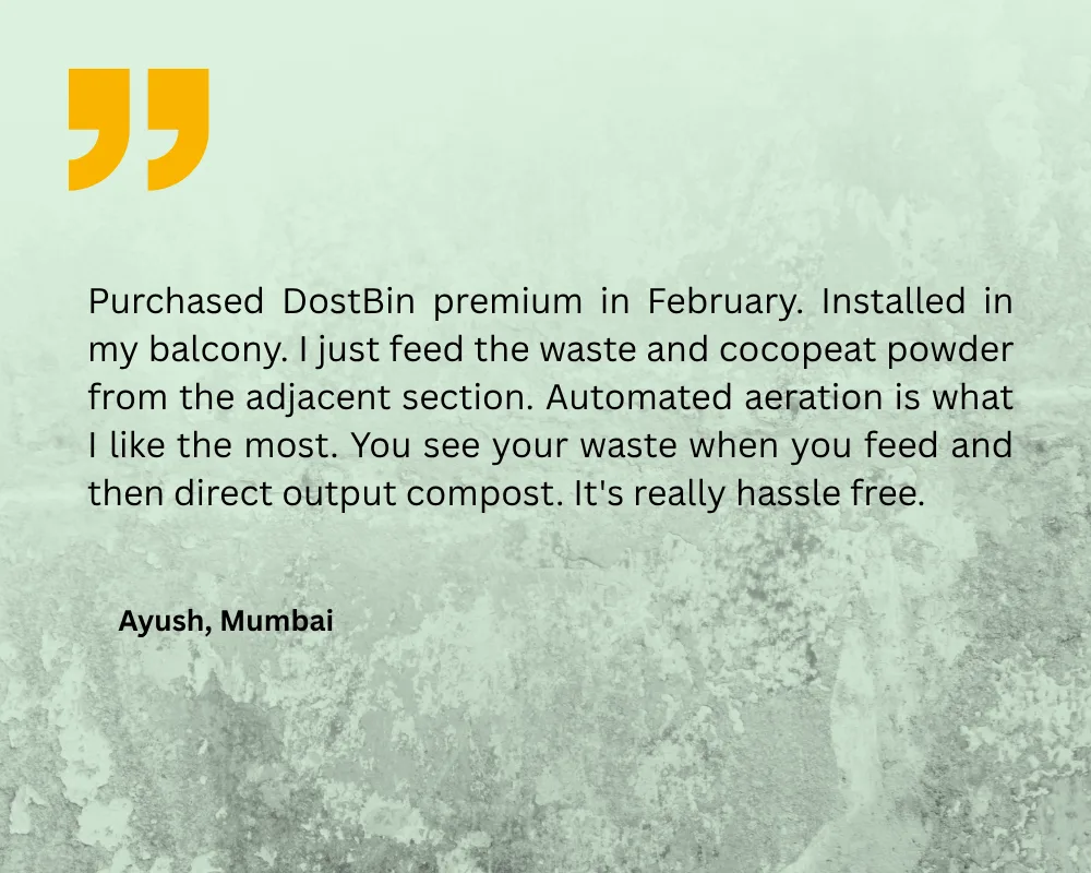 DOSTBin - Review - 2